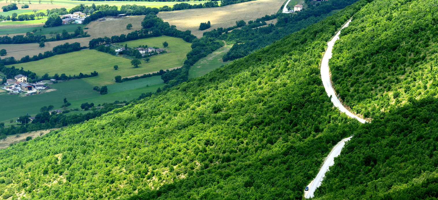 Forca Canapine - Dettaglio