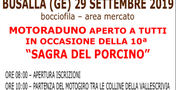 Porcini in moto