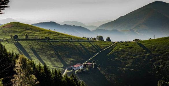 colli di san fermo