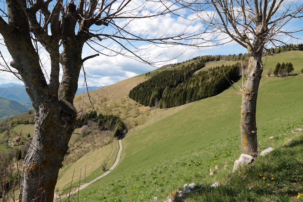 colli San Fermo