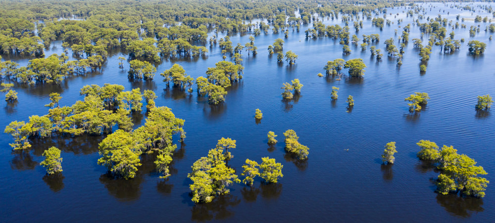 Atchafalaya