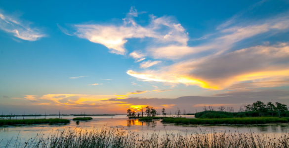 Louisiana
