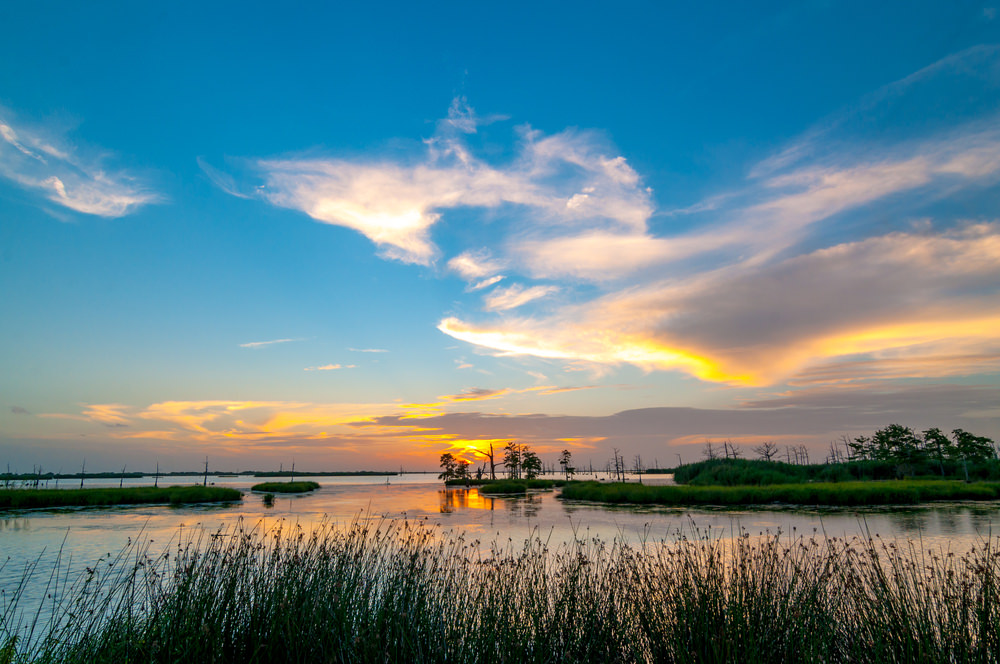 Louisiana