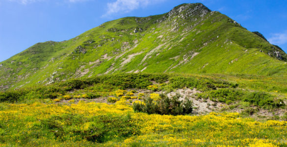 parco dell'orecchiella