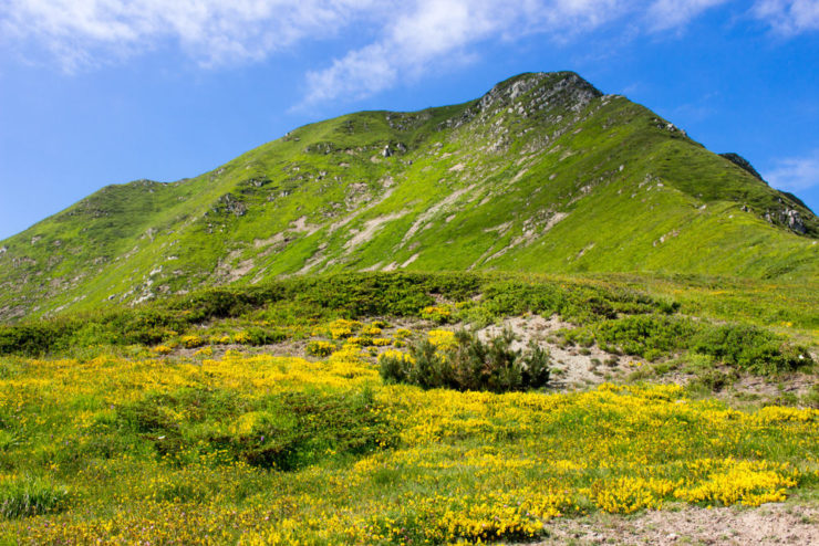 parco dell'orecchiella