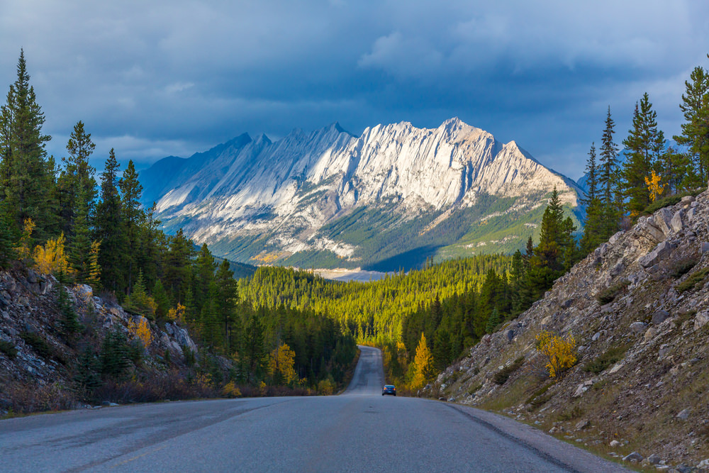 jasper national park