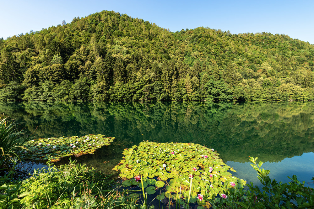 Lago di Levico, boschi