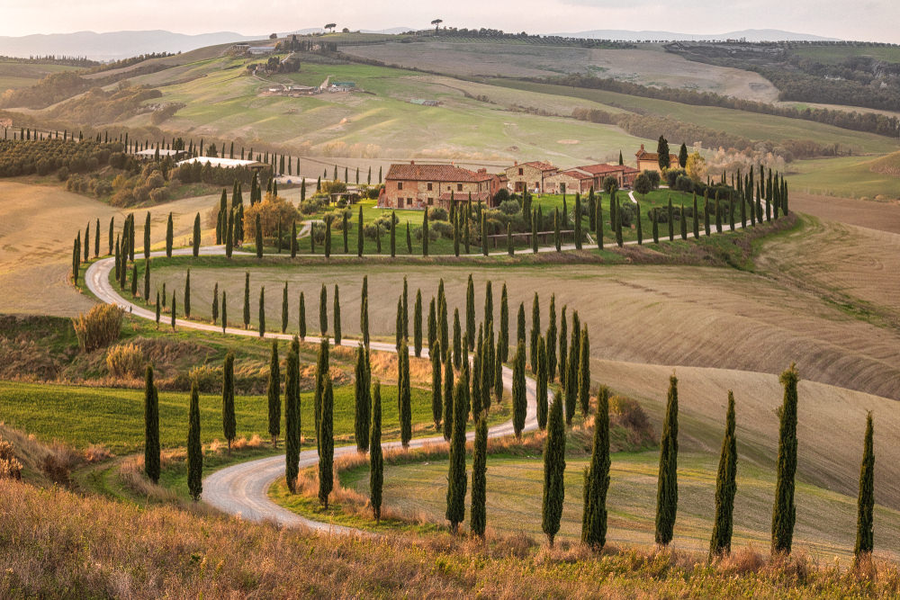Val d'Orcia panorama curve