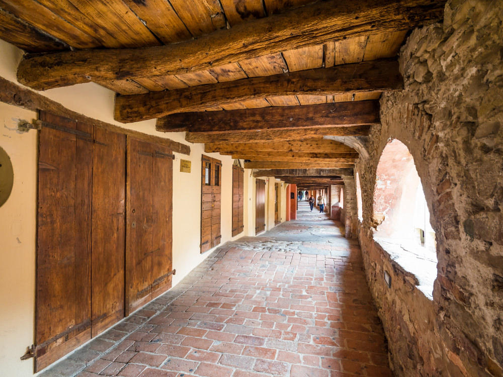 Via degli Asini, Brisighella. Strada del Sangiovese