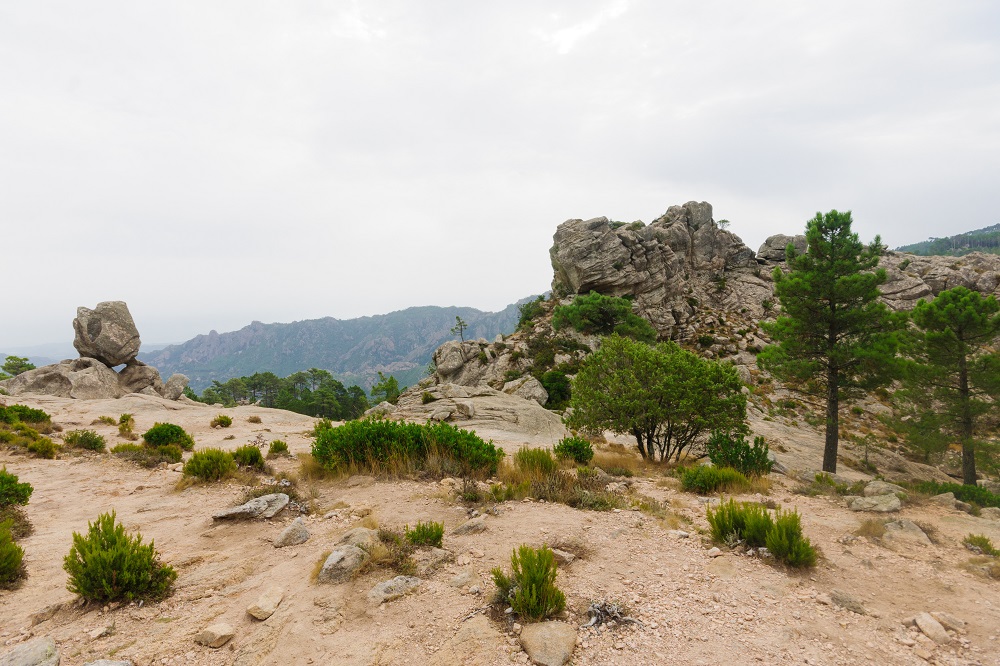 Piscia di Ghjaddu, Corsica