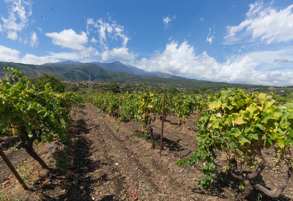 Vigneti Etna