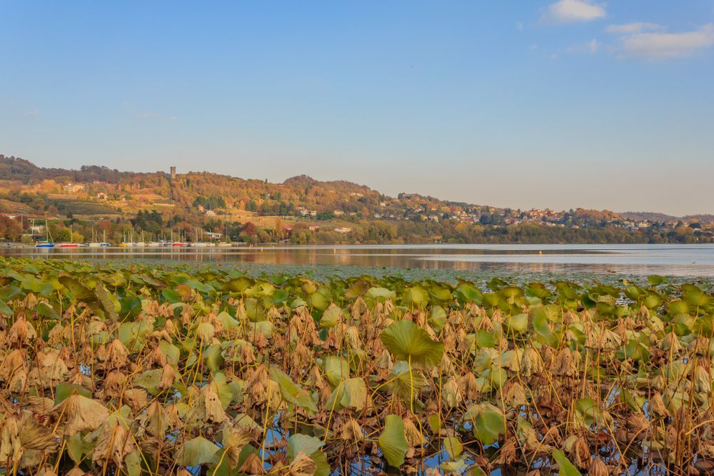 Lago di Viverone