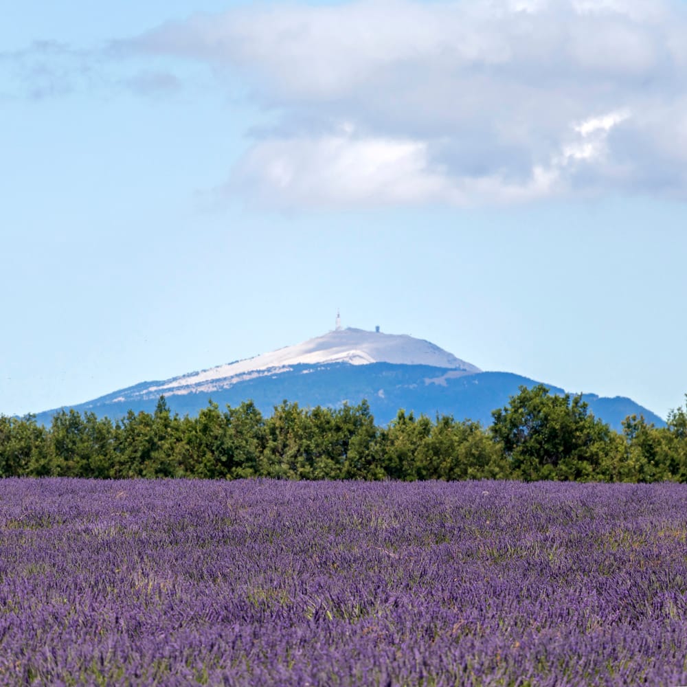 Monte Ventoso, Provenza, estate