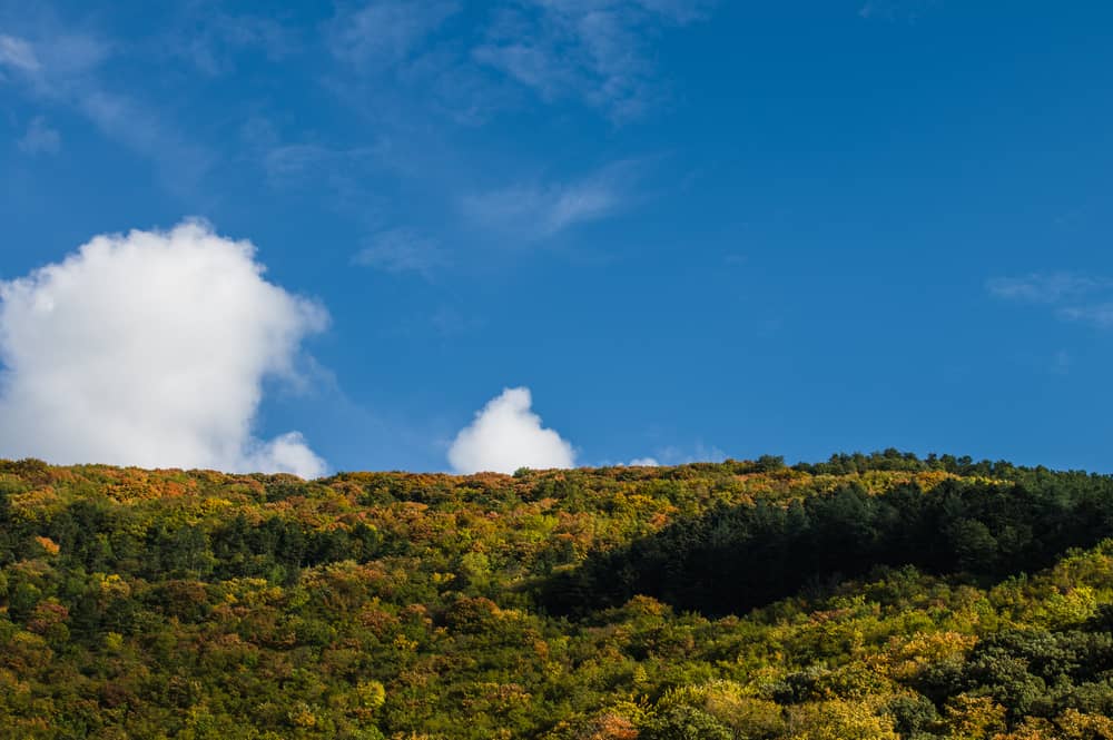 Monte Subasio