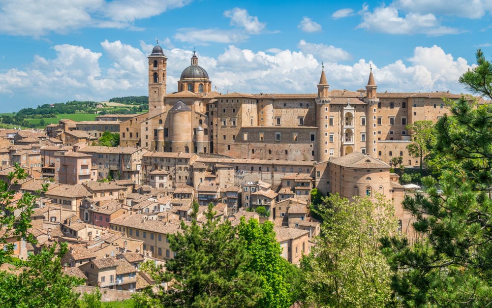 Urbino