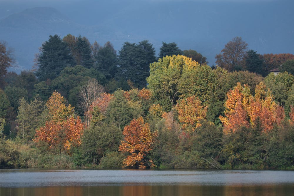 Lago di Sartirana