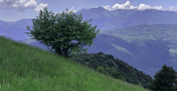 valle dei cavalieri