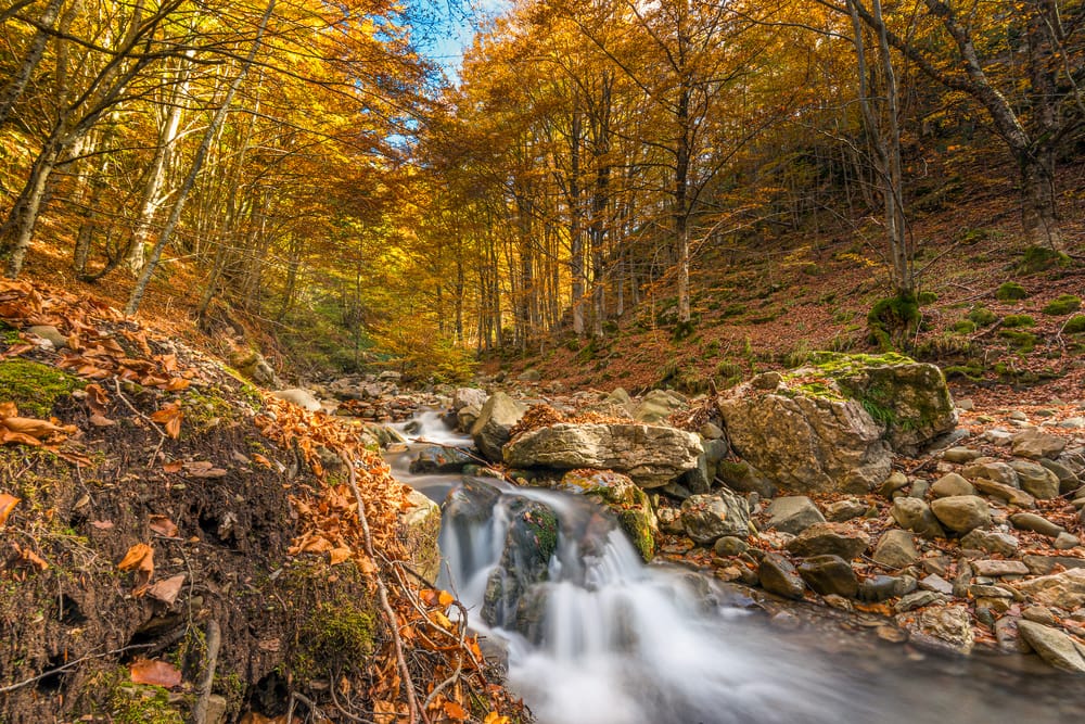 Parco dell'Orecchiella, Cascate