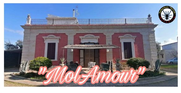 MolAmour