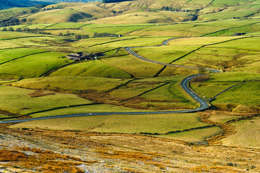 Cat and Fiddle Road