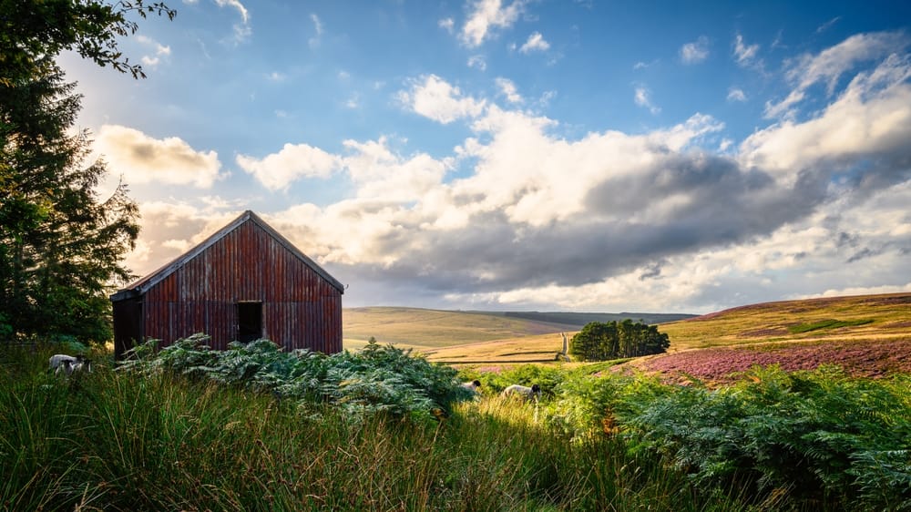 Otterburn, parco nazionale Northumberland