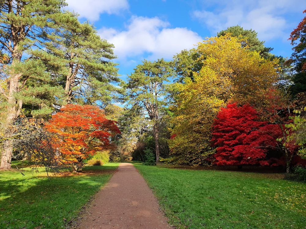 Westonbirt National Arboretum