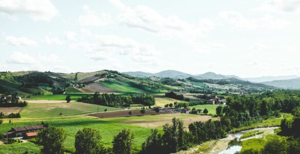 Colli Piacentini