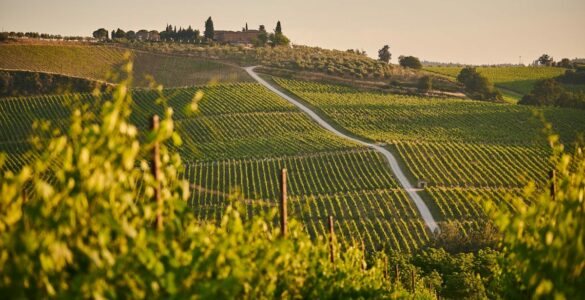 toscana