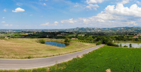 Food Valley